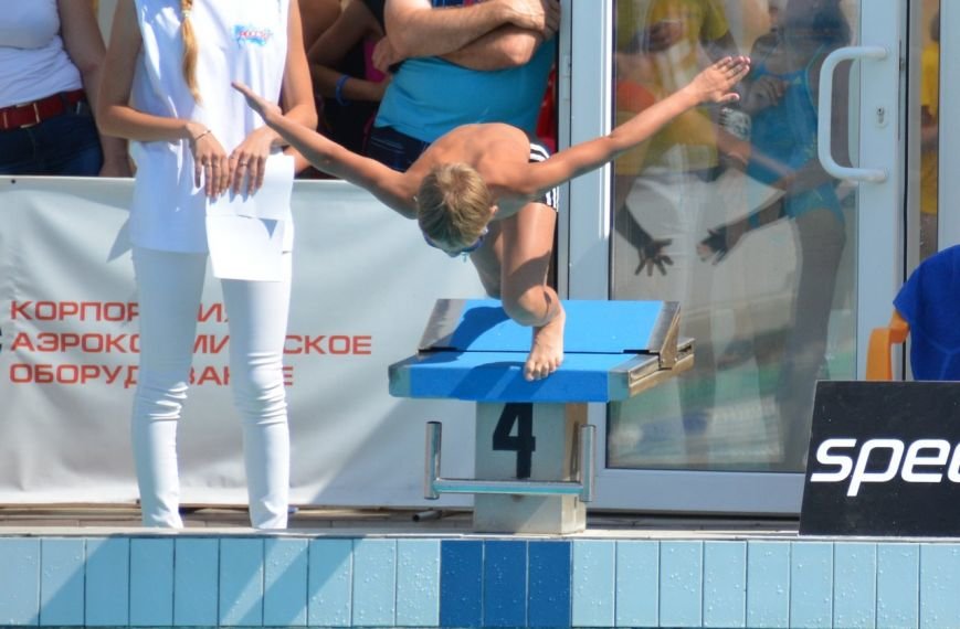В Волгограде соревновались сильнейшие юные пловцы России (фото) - фото 4