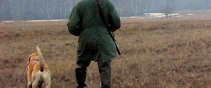 Сезон охоты на дичь в Волгоградской области откладывается