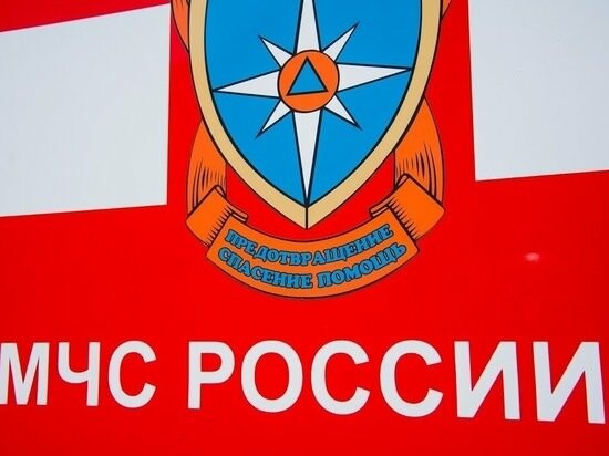 Три иномарки пострадали от огня за сутки в Волгограде 