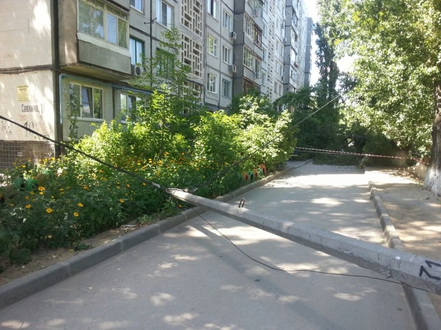 В Волгограде на тротуар рухнули дерево и световая опора (фото) - фото 1