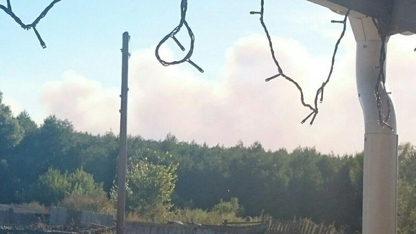 В Серафимовичском районе горит сухая трава, огонь приближается к населенным пунктам (фото) - фото 1