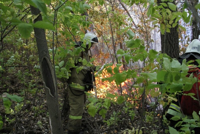 В Волгоградской области продолжается борьба с огнем, фото-1