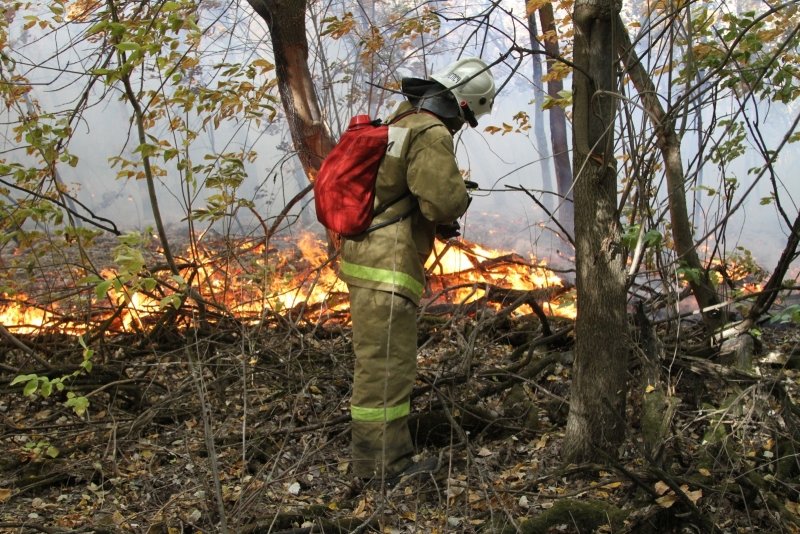 В Волгоградской области продолжается борьба с огнем, фото-3