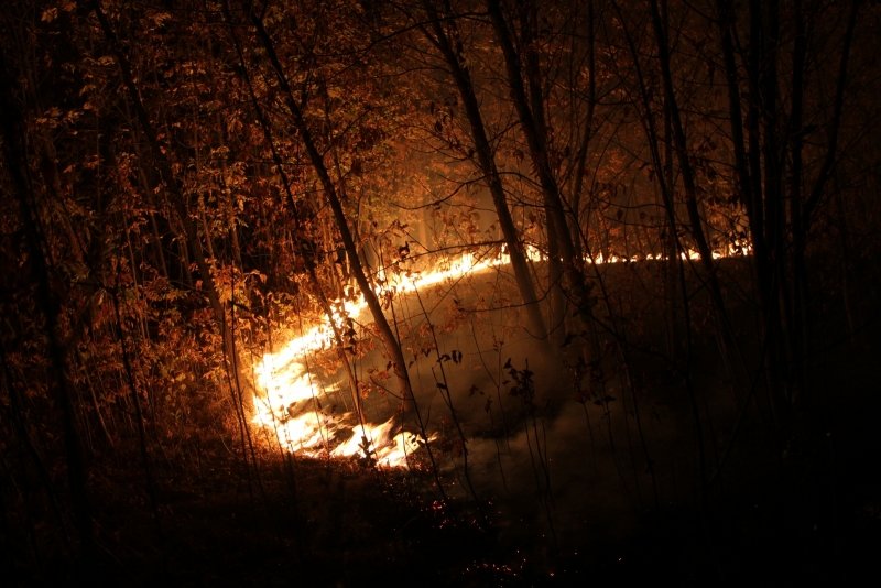 В Волгоградской области продолжается борьба с огнем, фото-7